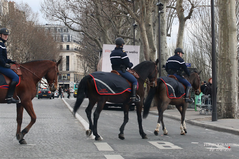 Bild: berittene Polizei in Paris, Frankreich