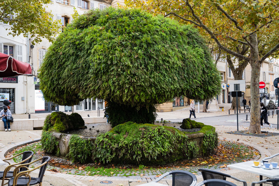 Bild: Salon-de-Provence, Fontaine moussue am Place Crousillat 