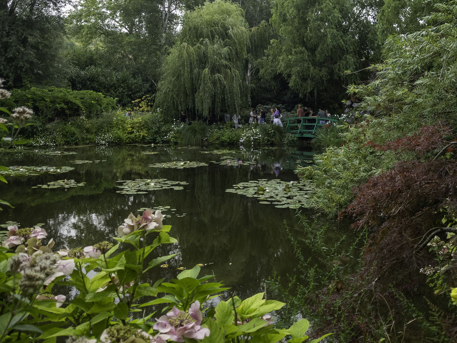 Bild: Der Seerosenteich von Claude Monet in Givery 