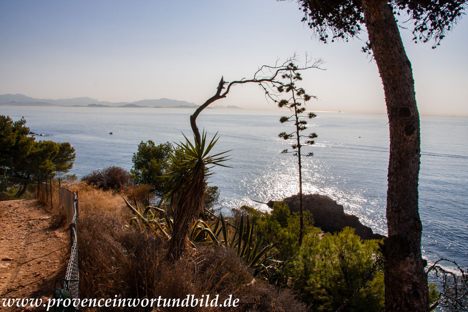 Bild: Wanderung an der Côte Bleue 