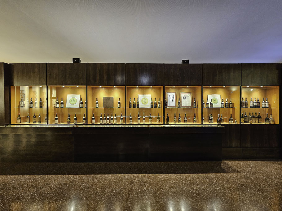 Bild: Im Museum des Weingut Torres in Vilafranca del Penedès 