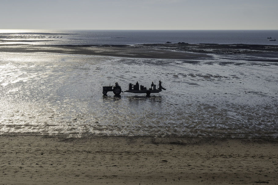 Bild: Austernzüchter in Gouville-sur-Mer