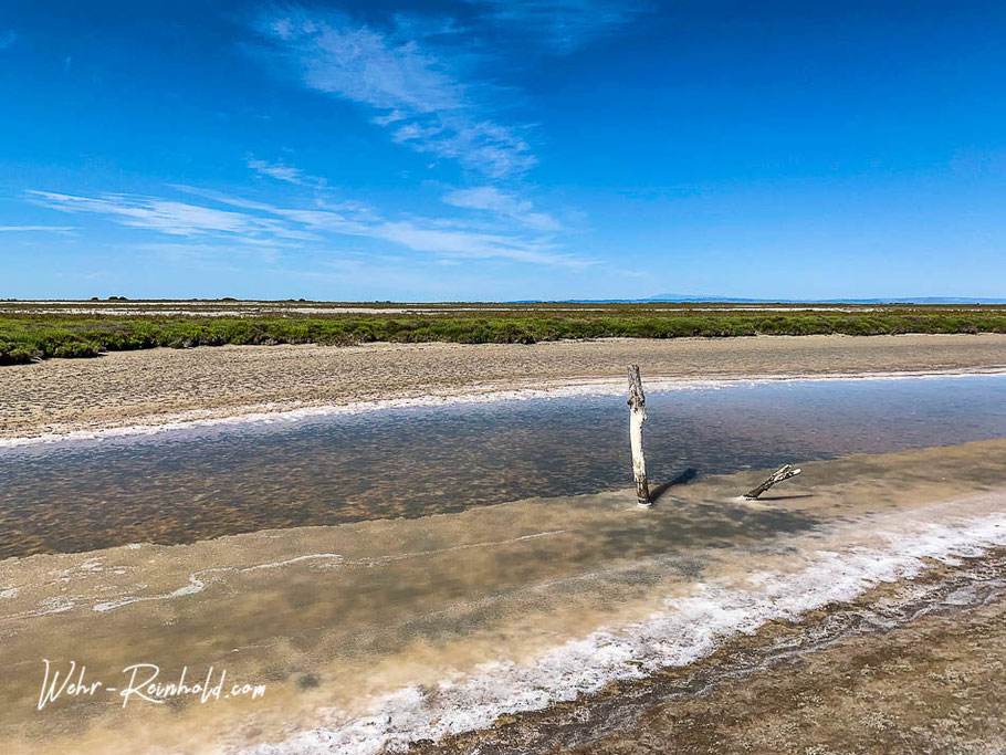 Bild: Camargue