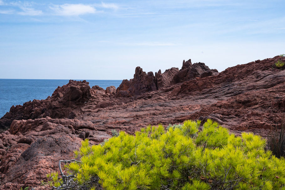 Bild: Cap Dramont, Massif de l´Estérel 