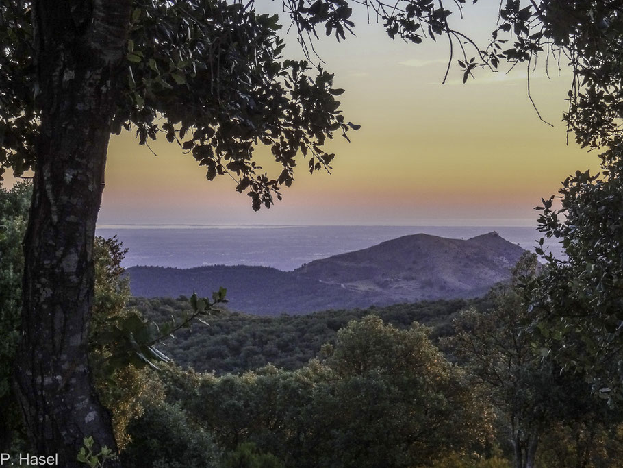 Bild: Castelnou