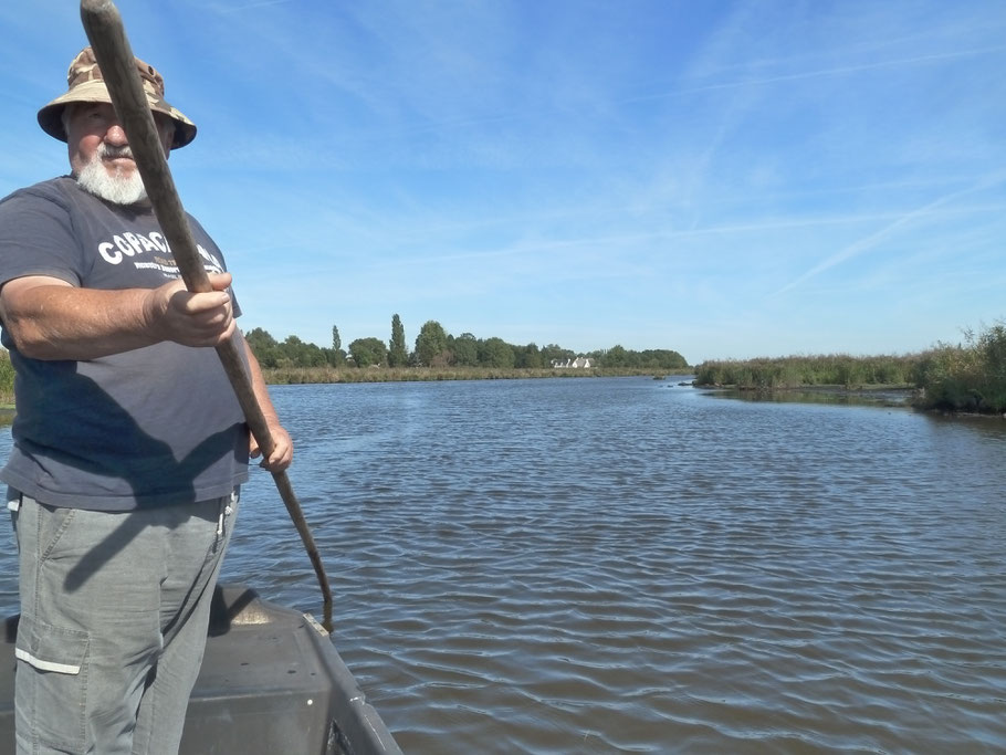 Bild: Fahrt mit dem Kahn im Parc naturel régional de Brière