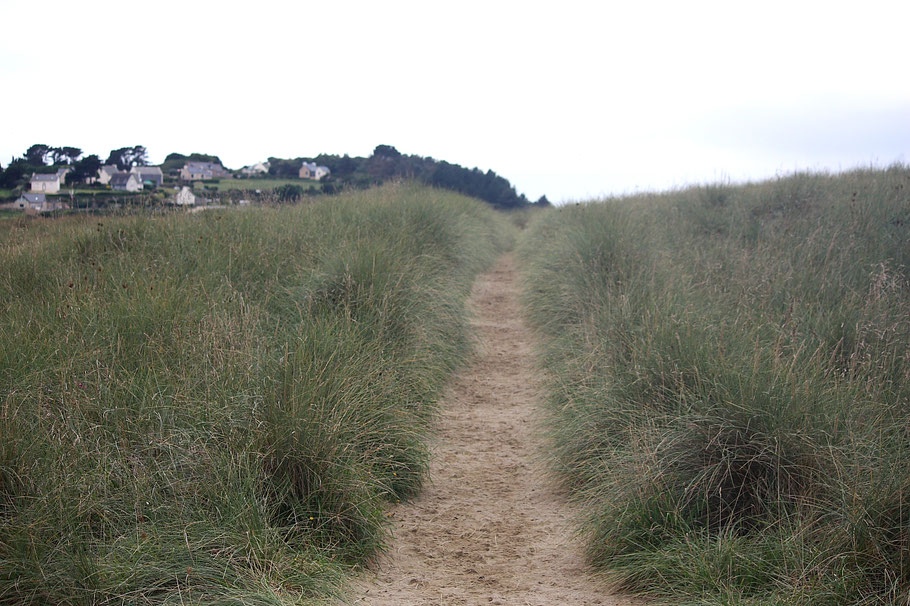 Bild: Wanderung auf dem Sillon de Talbert, Bretagne