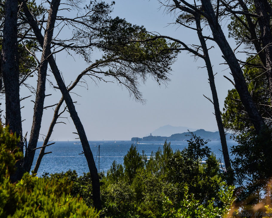 Bild: Île de Porquerolles 