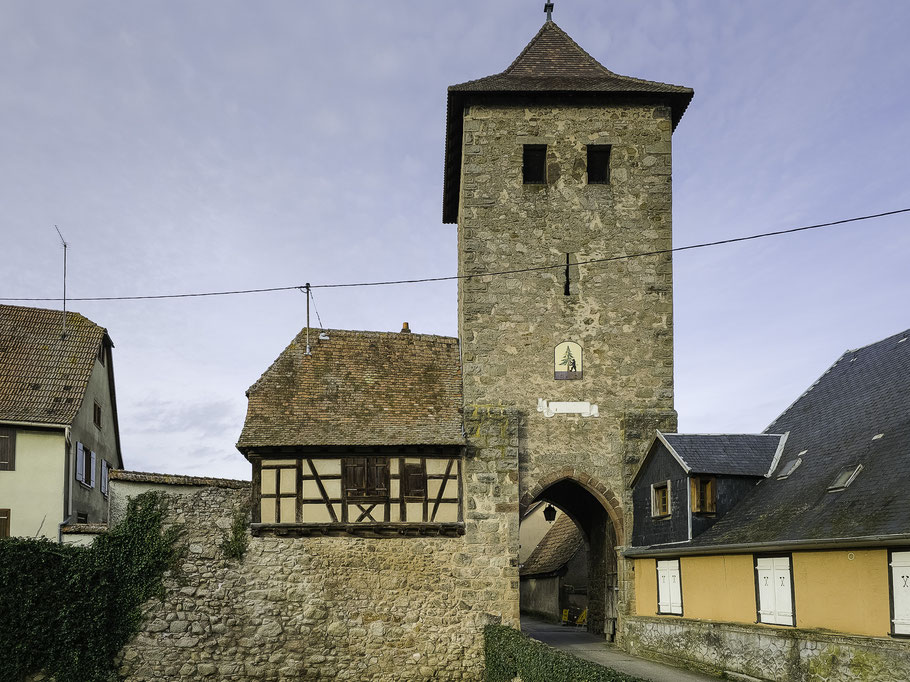 Bild: Porte de Dieffenthal in Dambach-la-Ville