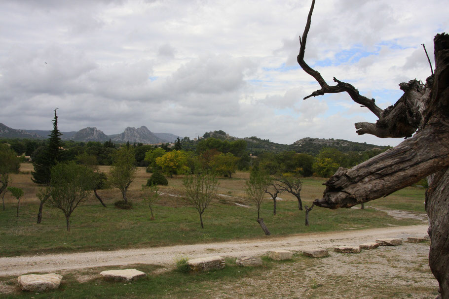Bild: Blick auf die Alpilles von der Chapell Saint-Sixte bei Eygalières