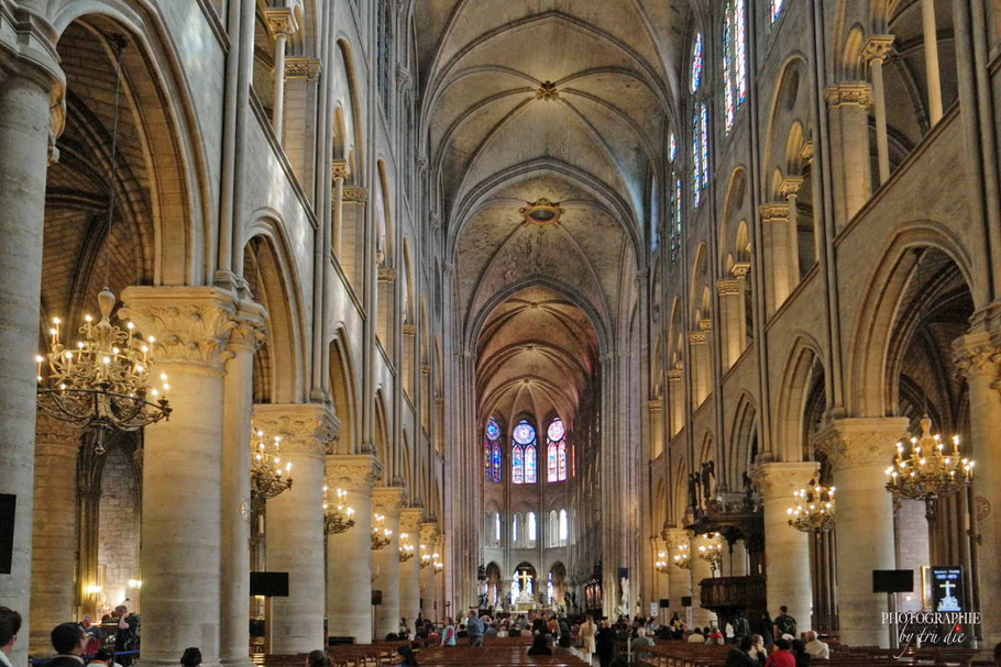 Bild: Cathédrale Notre-Dame de Paris 