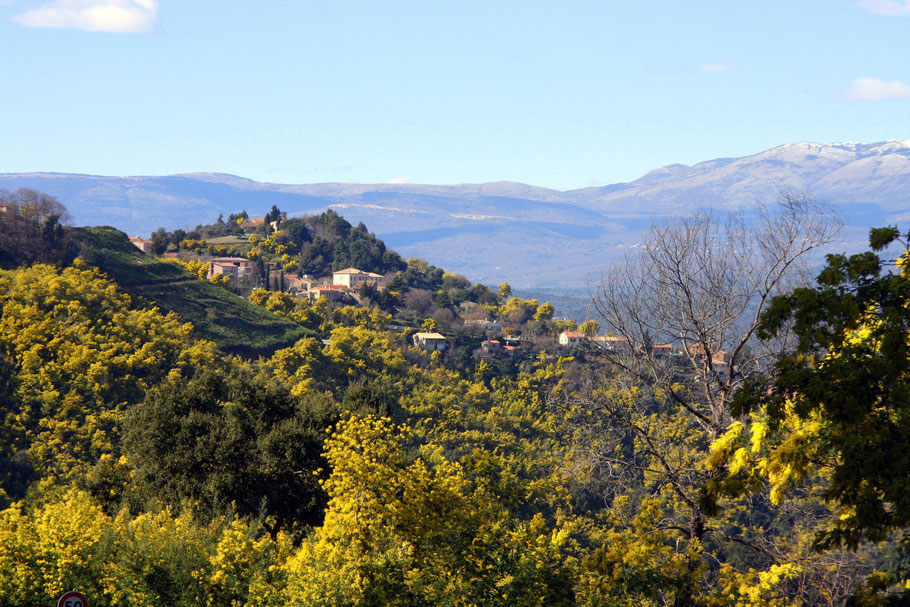 Bild: Blick auf Tanneron