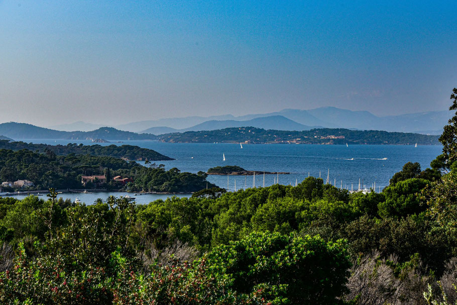 Bild: Île de Porquerolles