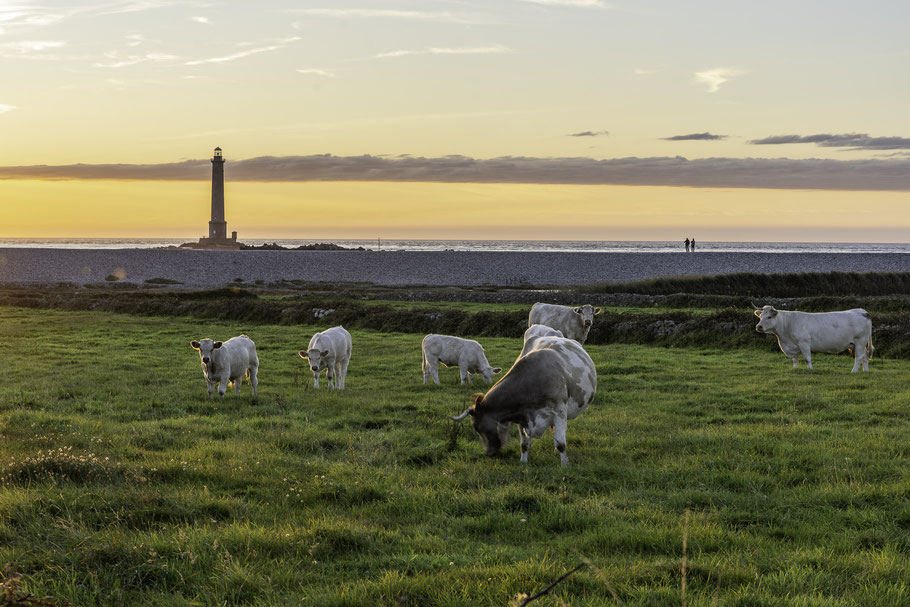 Bild: Abendstimmung am Phare de Goury oder auch Phare de la Hague bezeichnet