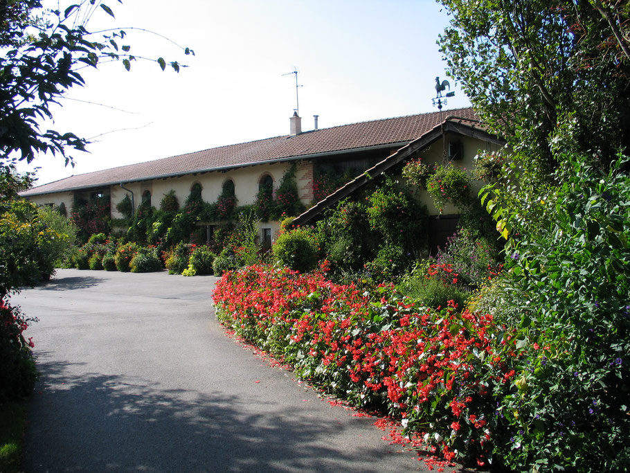 Bild: mit reichlich Blumenschmuck gestaltete Ziegenfarm in Saint André le Bouchoux in den Dombes im Departement Ain in Frankreich