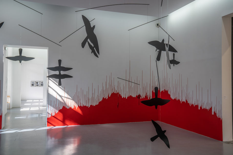 Bild: Collection Lambert in Avignon, hier Werke von Carlos Amorales