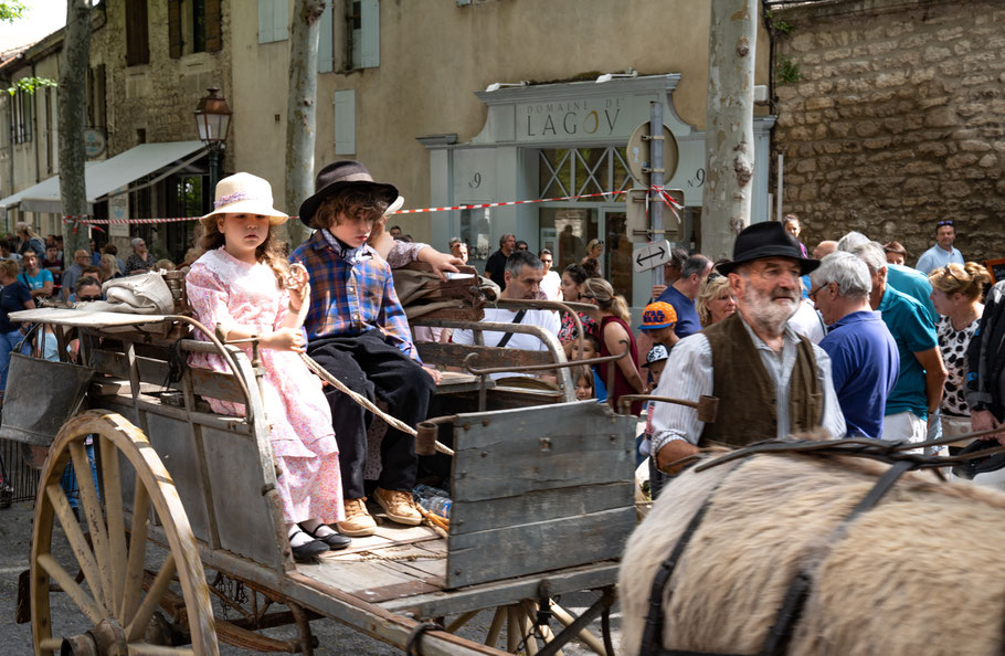 Bild: St.-Rémy-de-Provence, Féte de la Transhumance 