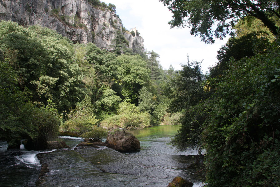 Bild: die Sorgue in Fontain de Vaucluse