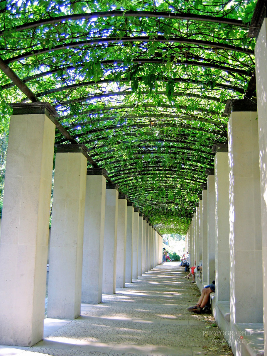 Bild: Pergola-Gehwegen im Jardin Romantique im Jardin Yitzhak Rabin im Parc de Bercy 