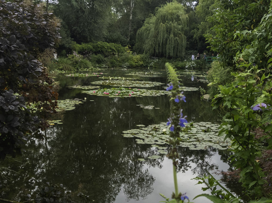 Bild: Der Seerosenteich von Claude Monet in Givery