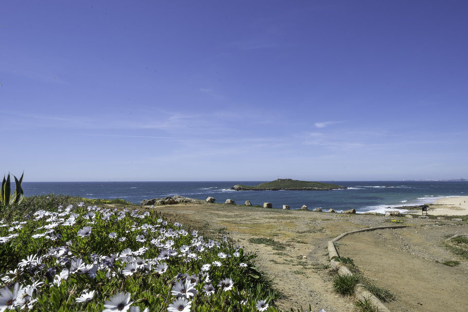 Bild: Blick von der Praia da Ilha do Pessegueiro auf die Ilha do Pessegueiro