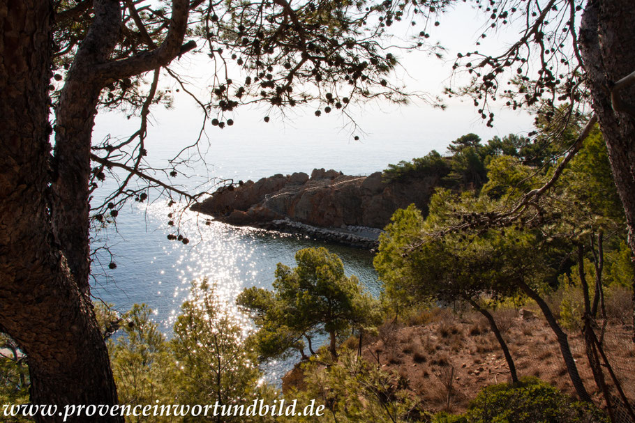 Bild: Wanderung an der Côte Bleue, Calanque des Figuiéres