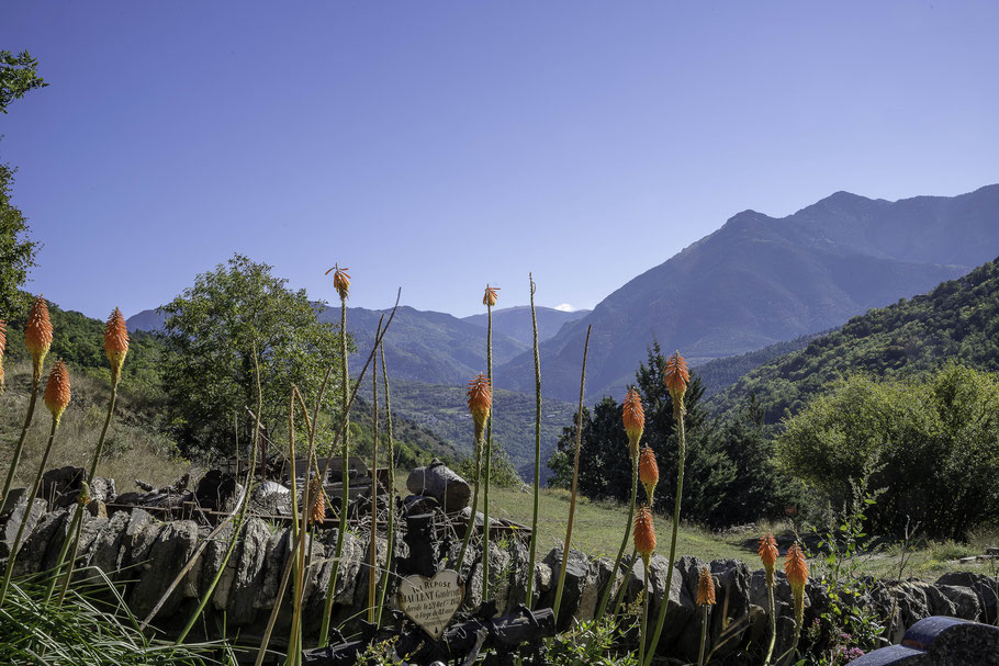 Bild: Kirche Église Saint-André in Évol im Département Pyrénées-Orientales 