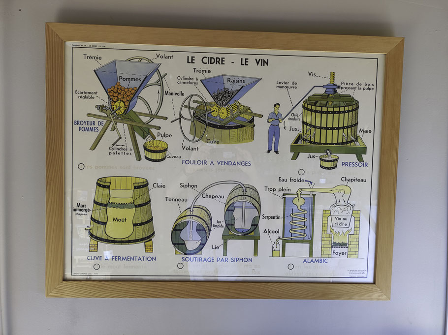 Bild: Ciderie de Cozmézou in Plouégat-Guérand in der Bretagne 