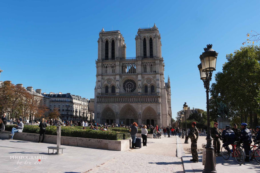 Bild: Cathédrale Notre-Dame de Paris