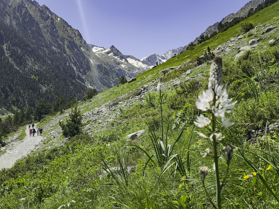 Bild: Auf dem Weg zum Lac de Gaube