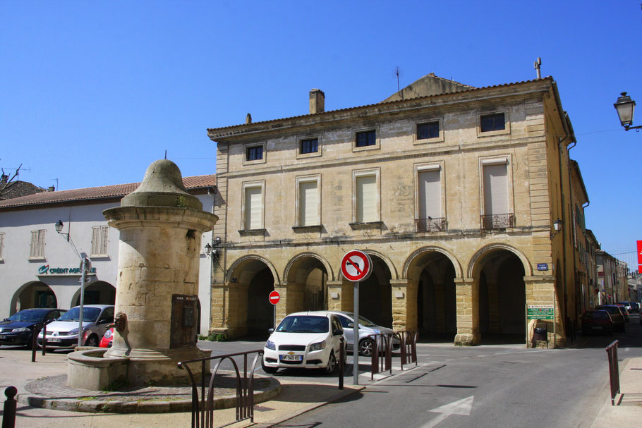 Bild: Place de la Mairie mit Fontaine aus dem 16 Jahrhundert in Roquemaure