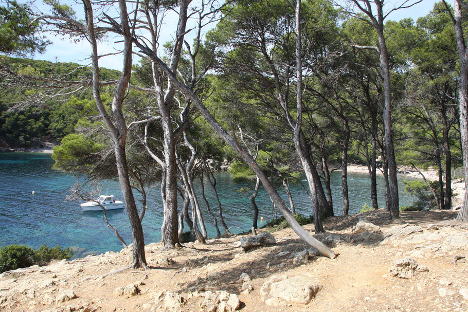 Bild: Küstenwanderung bei Bandol