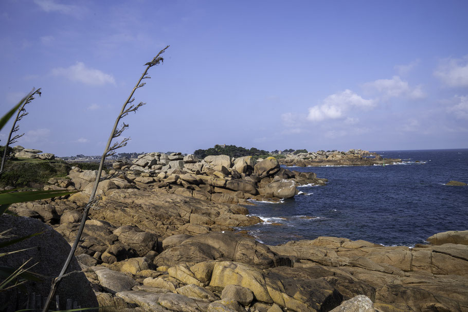 Bild: Sentier des Douaniers in Ploumanac´h 