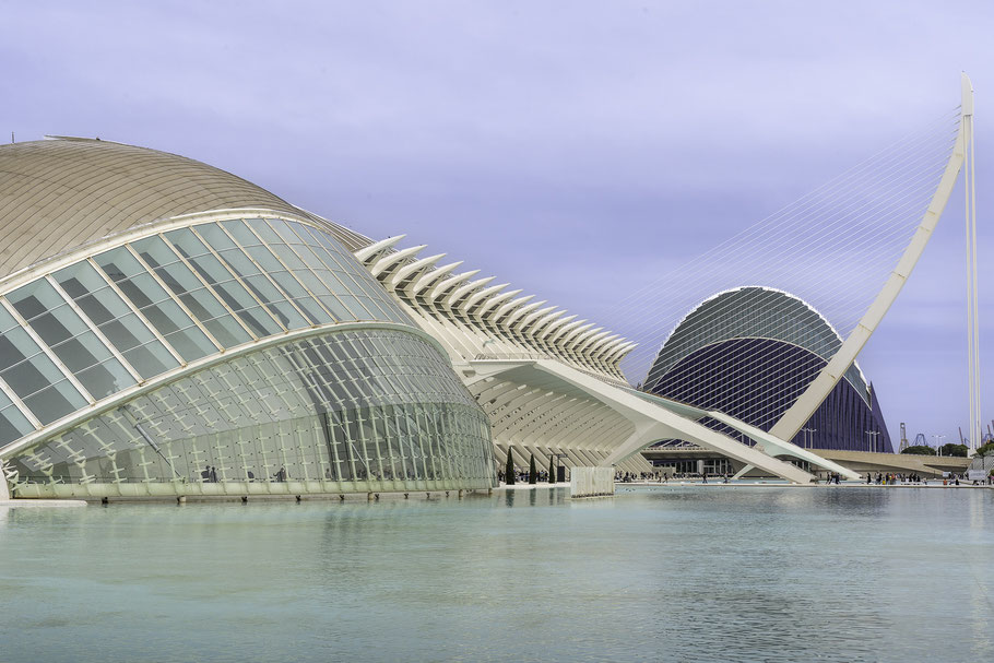 Bild: Hemisferic dahinter Museu de les Ciències Príncipe Felipe dann die Assut de l´Or Bridge und Ágora im Ciutat de les Arts i les Ciències in Valencia