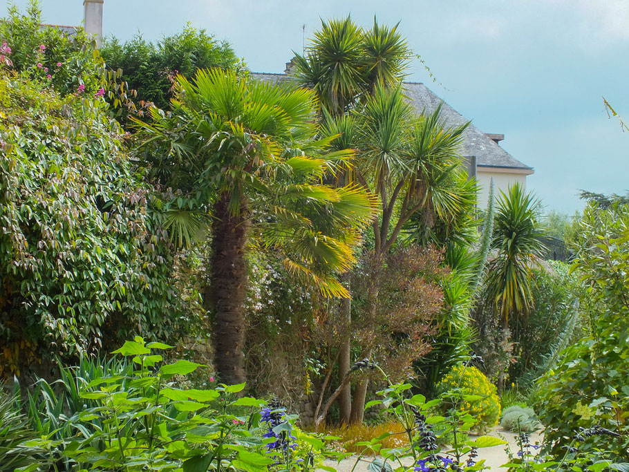 Bild: Le Jardin de la Retraite - Botanischer Garten in Quimper 