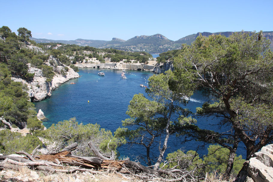 Bild: Wanderung in der Calanque de Port Miou