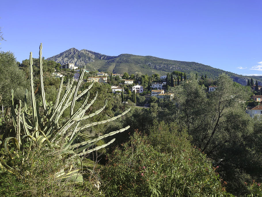 Bild: Blick in die Berge von Menton