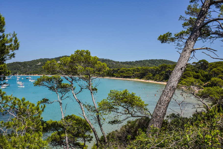 Bild: Plage Notre Dame, Île de Porquerolles 