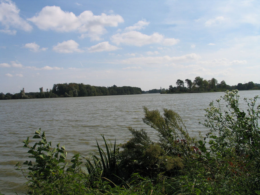 Bild: Teichlandschaft in der Dombes in dem Departement Ain in Frankreich