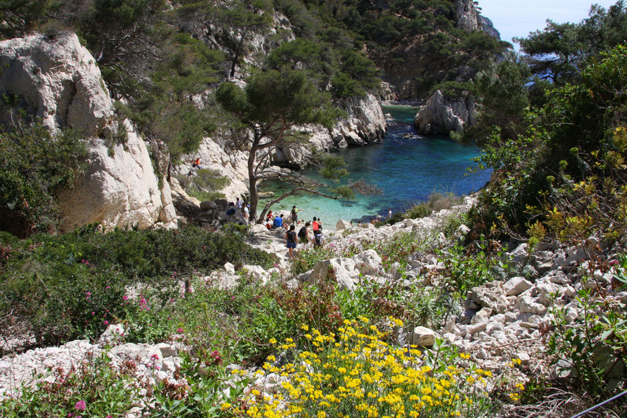 Bild: in der Calanque de Sugiton