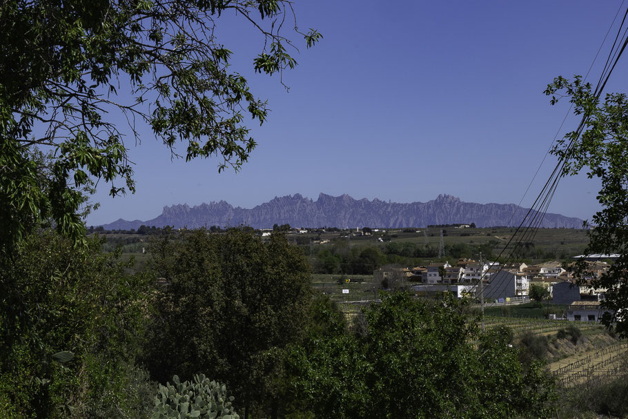 Bild: Blick über das Weinbaugebiet Vilafranca del Penedès hin zu den Bergen von Monserat