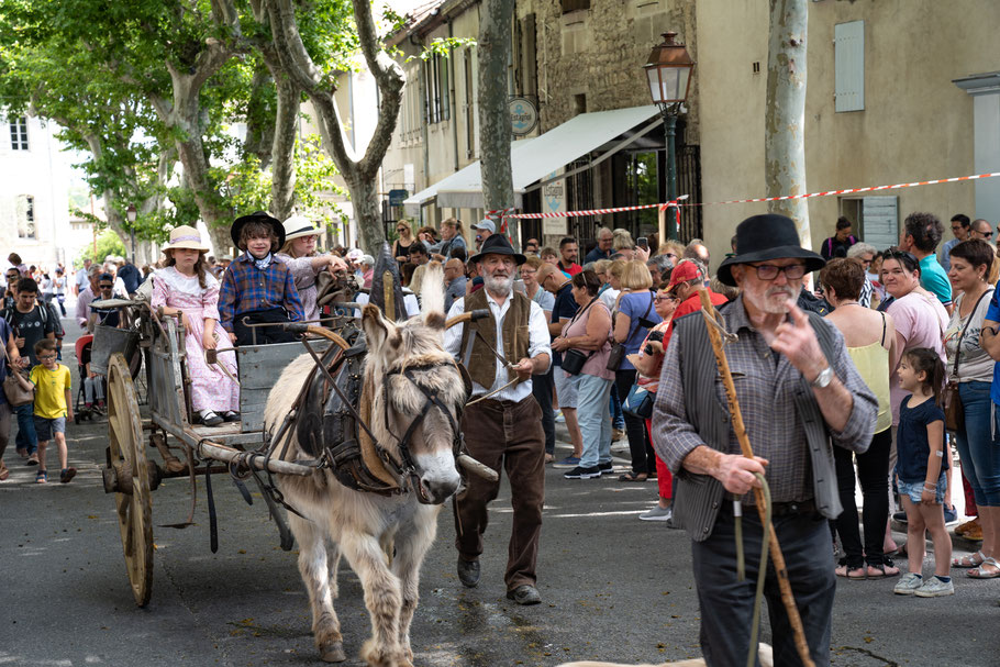 Bild: St.-Rémy-de-Provence, Féte de la Transhumance 