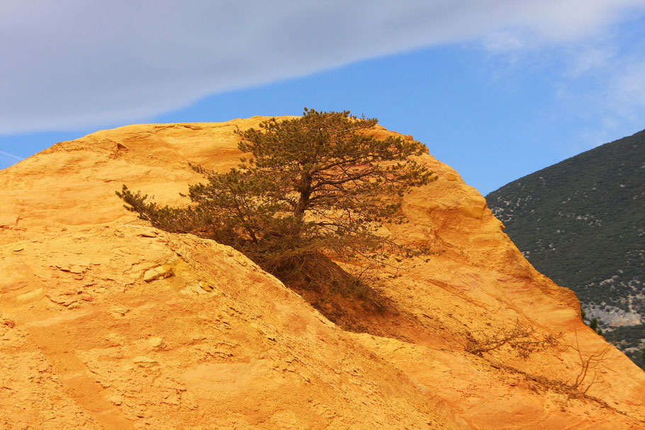 Bild: Ockerberge Rustrel im Vaucluse 