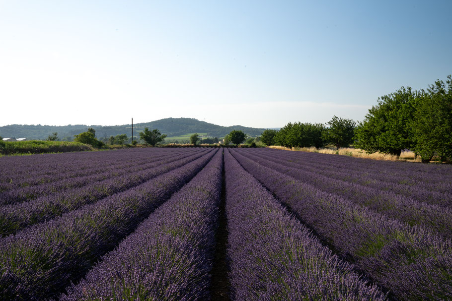 Bonnieux Provence In Wort Und Bild