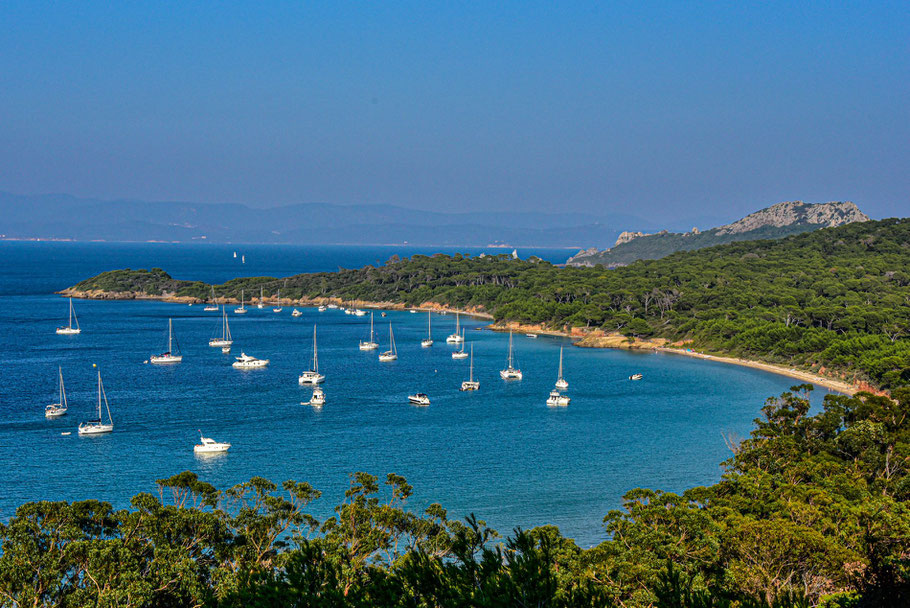 Bild: Plage de la Courtade, Île de Porquerolles