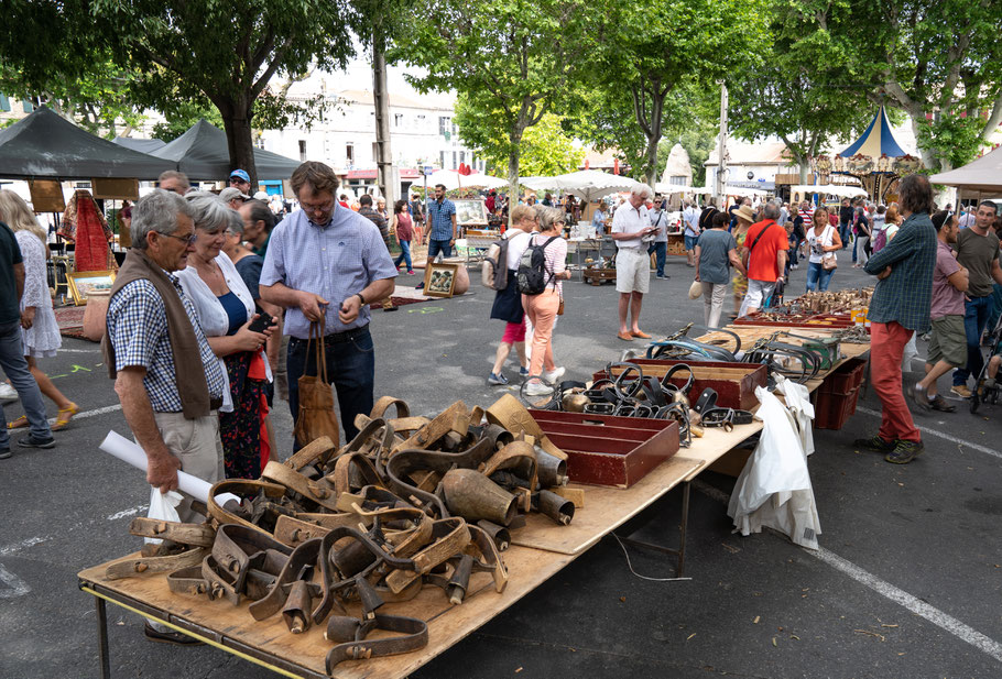 Bild: St.-Rémy-de-Provence, Féte de la Transhumance 