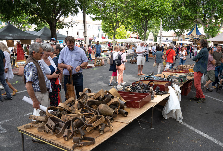 Bild: St.-Rémy-de-Provence, Féte de la Transhumance 