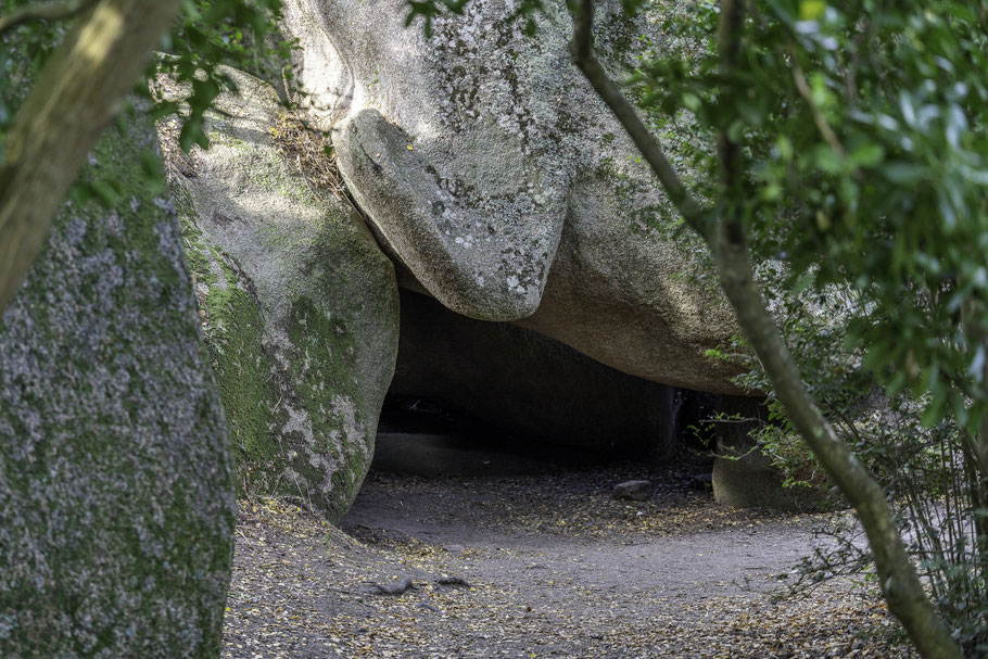 Bild: Sentier des Douaniers in Ploumanac´h 