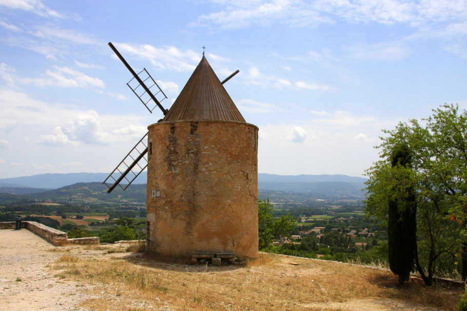 Bild: Lavendeltour hier alte Windmühle bei St-Saturnin-les-Apt 