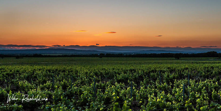 Bild: Blick aus dem Wohnmobil auf den Sonnenuntergang in den Weinbergen von Gigondas